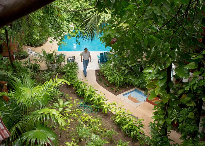 Eco-hotel El Rey del Caribe